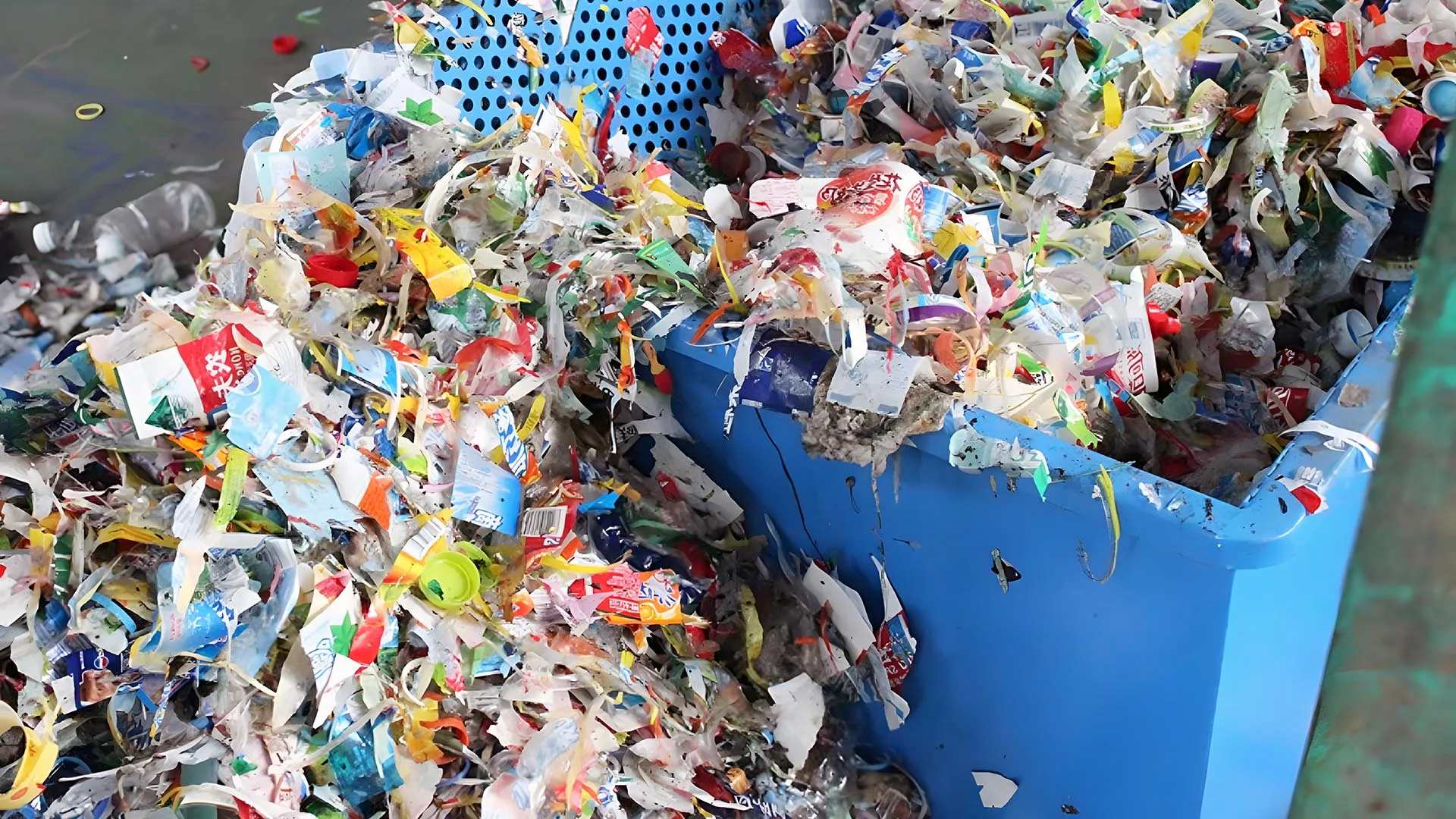 Machine de suppression des étiquettes de bouteilles en plastique par processus humide